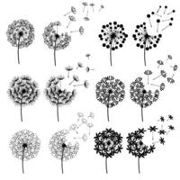 Abstract Dandelions for spring season vector