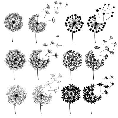Abstract Dandelions for spring season