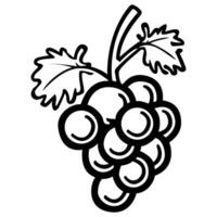 Grapes fruit icon, grape branch. illustration vector
