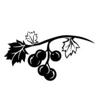 Black silhouette of grapes, branch with grapes. illustration. vector