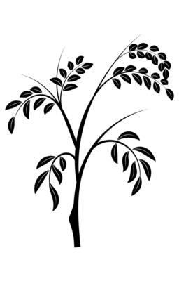 Abstract flowers, embroidery, black lines on white background. women's cloth decoration pattern