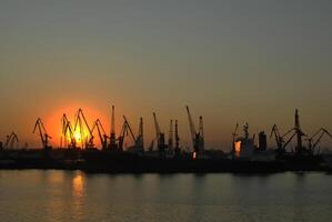 cargo cranes in the seaport. photo