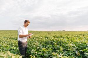 Young farmer in filed examining soybean corp. He is thumbs up. photo