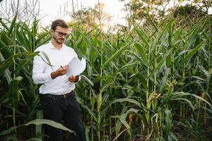 Portrait of a beautiful young farmer working in the field, happy, in a shirt, corn field. Concept ecology, transport, farmers, clean air, food, bio product. photo
