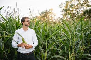 retrato de un hermosa joven granjero trabajando en el campo, feliz, en un camisa, maíz campo. foto