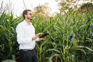 Young agronomist holds tablet touch pad computer in the soy field and examining crops before harvesting. Agribusiness concept. agricultural engineer standing in a soy field with a tablet in summer. photo