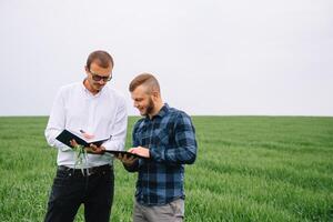 Two farmer standing in a green wheat field and shake hands photo