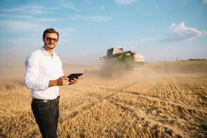 contento granjero en el campo comprobación maíz plantas durante un soleado verano día, agricultura y comida producción concepto foto