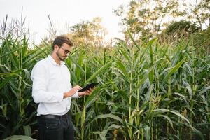 Young agronomist holds tablet touch pad computer in the soy field and examining crops before harvesting. Agribusiness concept. agricultural engineer standing in a soy field with a tablet in summer. photo