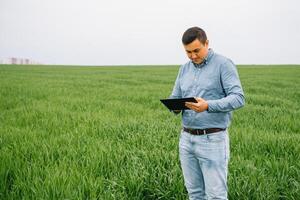 Young agronomist holds tablet touch pad computer in green wheat field. Agribusiness concept. agricultural engineer standing in a wheat field with a tablet in summer. photo