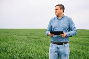 Young agronomist holds tablet touch pad computer in green wheat field. Agribusiness concept. agricultural engineer standing in a wheat field with a tablet in summer. photo