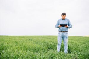 Young agronomist holds tablet touch pad computer in green wheat field. Agribusiness concept. agricultural engineer standing in a wheat field with a tablet in summer. photo