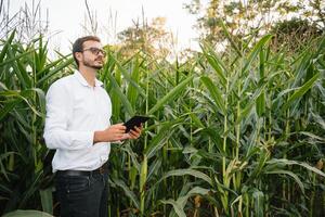 Young agronomist holds tablet touch pad computer in the soy field and examining crops before harvesting. Agribusiness concept. agricultural engineer standing in a soy field with a tablet in summer. photo
