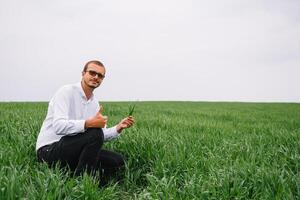 Agronomist with wheat in hands. Field of wheat on background. photo