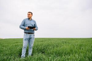 Young agronomist holds tablet touch pad computer in green wheat field. Agribusiness concept. agricultural engineer standing in a wheat field with a tablet in summer. photo