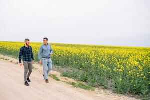 dos agricultores en un campo examinando violación cultivo. agronegocios concepto. agrícola ingeniero en pie en un violación campo. foto