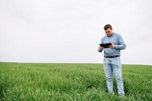 Young agronomist holds tablet touch pad computer in green wheat field. Agribusiness concept. agricultural engineer standing in a wheat field with a tablet in summer. photo