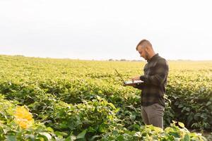 Agronomist inspecting soya bean crops growing in the farm field. Agriculture production concept. Agribusiness concept. agricultural engineer standing in a soy field photo