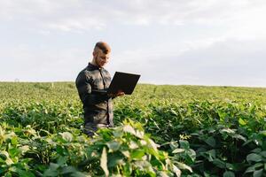 Young agronomist holds tablet touch pad computer in the soy field and examining crops before harvesting. Agribusiness concept. agricultural engineer standing in a soy field with a tablet in summer. photo