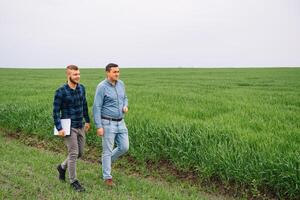 dos agricultores en un campo examinando trigo cultivo. foto