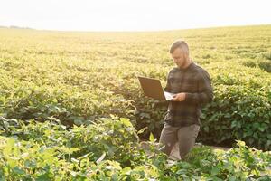 Young agronomist holds tablet touch pad computer in the soy field and examining crops before harvesting. Agribusiness concept. agricultural engineer standing in a soy field with a tablet in summer. photo