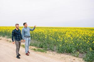 Two farmers in a field examining rape crop. Agribusiness concept. agricultural engineer standing in a rape field. photo