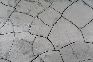 Grey cracked earth ground from drought disaster cause from weather change. The global warming and greenhouse effect cause of agricultural production is reduced photo