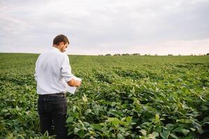 agrónomo inspeccionando soja frijol cultivos creciente en el granja campo. agricultura producción concepto. agronegocios concepto. agrícola ingeniero en pie en un soja campo foto