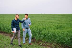 dos agricultores en un campo examinando trigo cultivo. foto