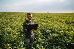 Young agronomist holds tablet touch pad computer in the soy field and examining crops before harvesting. Agribusiness concept. agricultural engineer standing in a soy field with a tablet in summer. photo