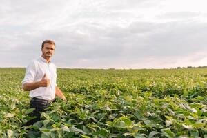 Portrait of young farmer standing in soybean field. photo