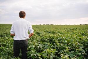 retrato de joven granjero en pie en haba de soja campo. foto