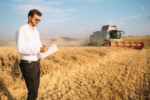 contento granjero en el campo comprobación maíz plantas durante un soleado verano día, agricultura y comida producción concepto foto