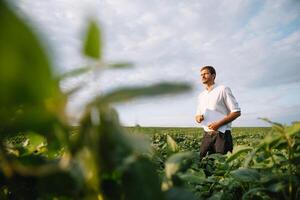 Young farmer in filed examining soybean corp. He is thumbs up photo