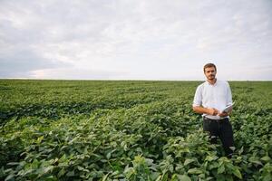 agrónomo inspeccionando soja frijol cultivos creciente en el granja campo. agricultura producción concepto. agronegocios concepto. agrícola ingeniero en pie en un soja campo foto