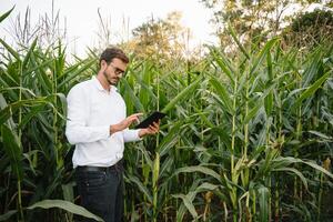 Young agronomist holds tablet touch pad computer in the soy field and examining crops before harvesting. Agribusiness concept. agricultural engineer standing in a soy field with a tablet in summer. photo