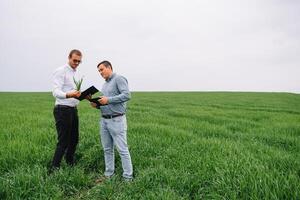 dos granjero en pie en un trigo campo y mirando a tableta, ellos son examinando corp foto