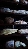 sortido pães exibido em velho padaria estante video