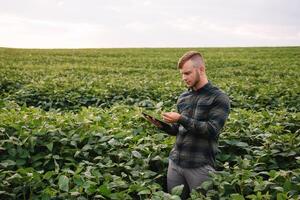 Young agronomist holds tablet touch pad computer in the soy field and examining crops before harvesting. Agribusiness concept. agricultural engineer standing in a soy field with a tablet in summer. photo