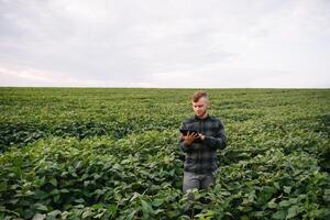 Young agronomist holds tablet touch pad computer in the soy field and examining crops before harvesting. Agribusiness concept. agricultural engineer standing in a soy field with a tablet in summer. photo