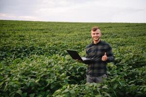 Young agronomist holds tablet touch pad computer in the soy field and examining crops before harvesting. Agribusiness concept. agricultural engineer standing in a soy field with a tablet in summer. photo