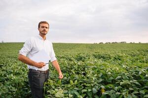 Portrait of young farmer standing in soybean field. photo