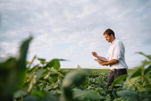 agrónomo inspeccionando soja frijol cultivos creciente en el granja campo. agricultura producción concepto. agronegocios concepto. agrícola ingeniero en pie en un soja campo foto