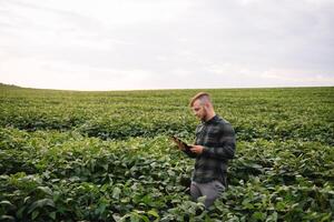 Young agronomist holds tablet touch pad computer in the soy field and examining crops before harvesting. Agribusiness concept. agricultural engineer standing in a soy field with a tablet in summer. photo