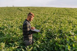 Young agronomist holds tablet touch pad computer in the soy field and examining crops before harvesting. Agribusiness concept. agricultural engineer standing in a soy field with a tablet in summer. photo