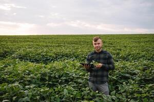 Young agronomist holds tablet touch pad computer in the soy field and examining crops before harvesting. Agribusiness concept. agricultural engineer standing in a soy field with a tablet in summer. photo