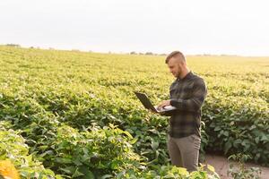 Young agronomist holds tablet touch pad computer in the soy field and examining crops before harvesting. Agribusiness concept. agricultural engineer standing in a soy field with a tablet in summer. photo