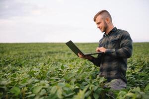 joven agrónomo sostiene tableta toque almohadilla computadora en el soja campo y examinando cultivos antes de cosecha. agronegocios concepto. agrícola ingeniero en pie en un soja campo con un tableta en verano. foto