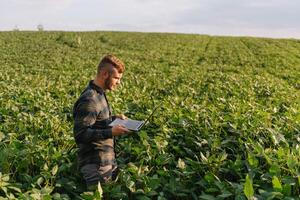 Young agronomist holds tablet touch pad computer in the soy field and examining crops before harvesting. Agribusiness concept. agricultural engineer standing in a soy field with a tablet in summer. photo