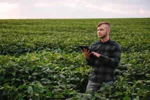 Young agronomist holds tablet touch pad computer in the soy field and examining crops before harvesting. Agribusiness concept. agricultural engineer standing in a soy field with a tablet in summer. photo